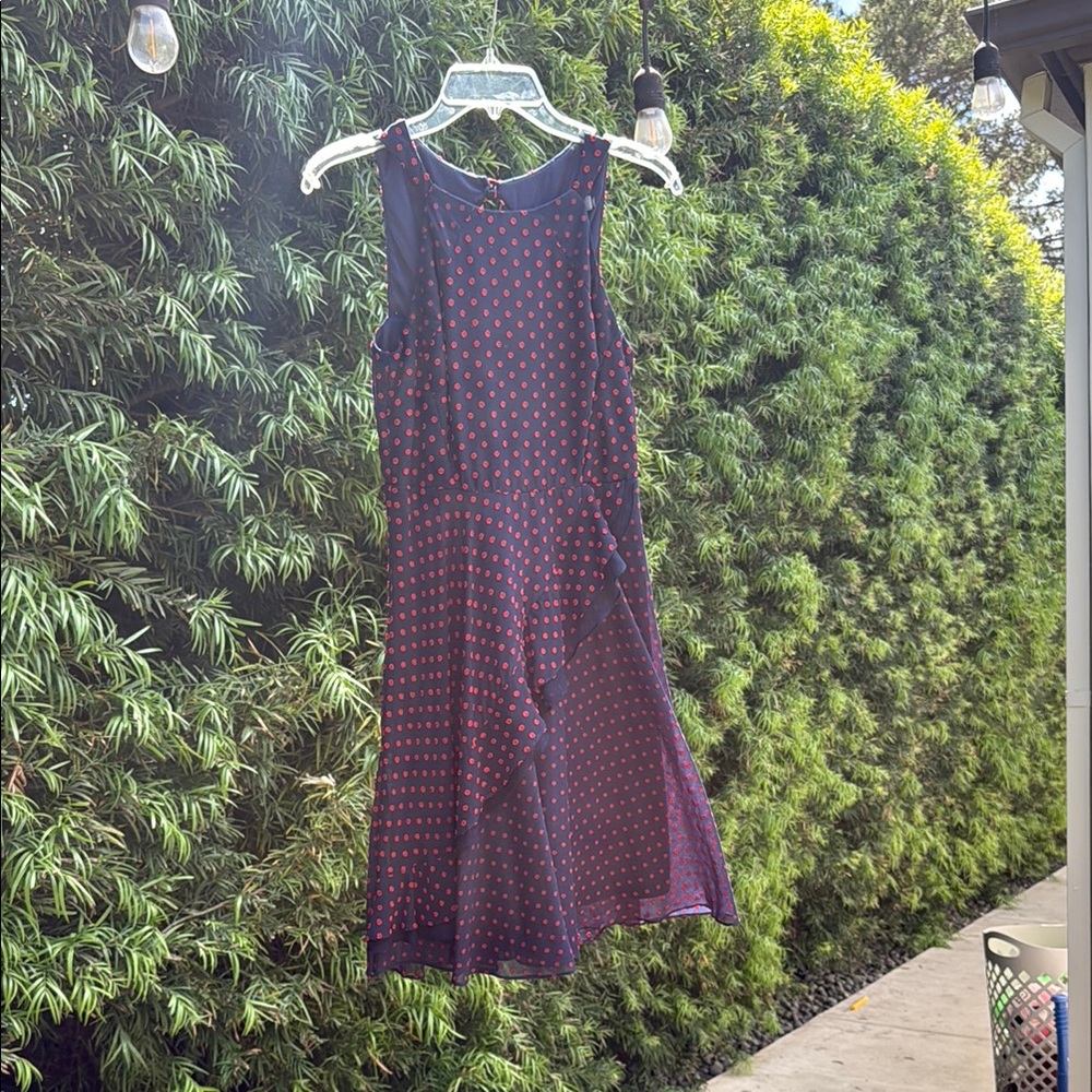 Anthropologie navy  and Red Polka Dot Dress